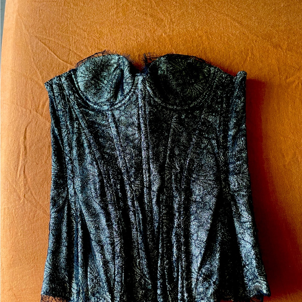 Agent Provacauter corset